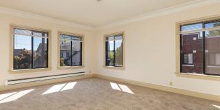 The Bayside Collection Gallery 2