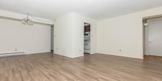 Northwood Gallery 31