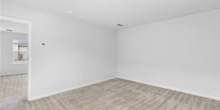 360 Paulownia Circle Gallery 21