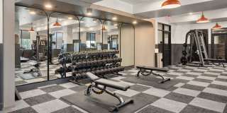 Alta Uptown Gallery 42