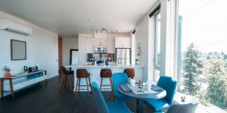 Eleanor Eleanor Gallery 20