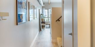 Nova Gallery 24