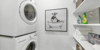 Everly at Morrison Ranch Gallery 33