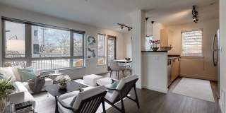 The Shelby Gallery 1