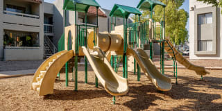 Avana Cordoba Gallery 31