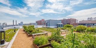 Second and Delaware Gallery 23