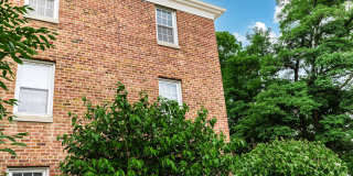 Brooklane Gallery 11