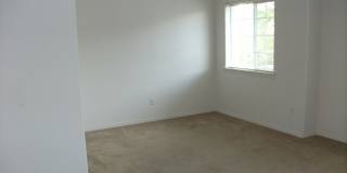 Large Beautiful 4 Bedroom Home w/ Loft & Upstairs Laundry Room! Gallery 8