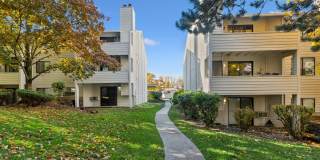 Peaks on Pines Gallery 20