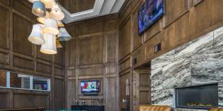 The Arcadian Gallery 24