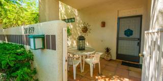 28859 Desert Princess Drive Gallery 4