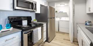 Brighton Place Gallery 9