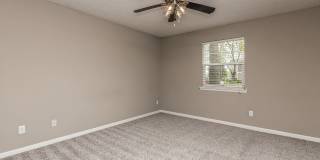 Sussex Downs Gallery 26