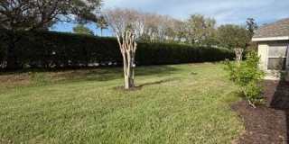 1459 Areca Palm Drive Gallery 7