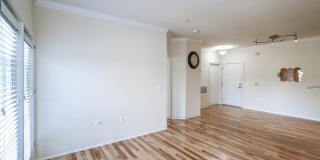11750 OLD GEORGETOWN Road Gallery 7