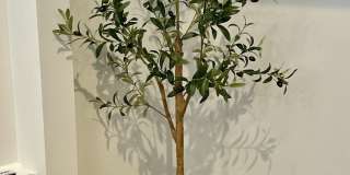 5 Spring Gallery 12