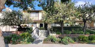 335 Wallis Street Gallery 1
