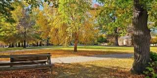 1308 W LEXINGTON Street Gallery 11