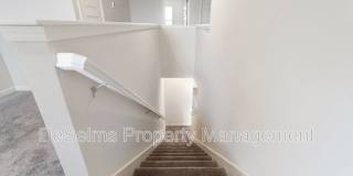 431 Alcott Way Gallery 26