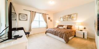 Modern 5-bed/4-bath pool home. FURNISHED Gallery 11