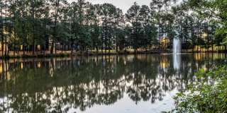 The Belmont Apartments Gallery 4
