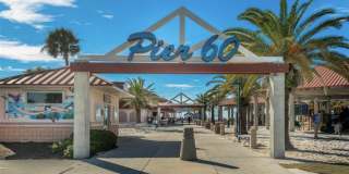 255 Dolphin Point Gallery 21