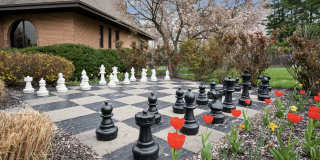 Meadowbrook Gallery 15