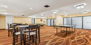 4141 Bayshore Blvd Apt 1204 Gallery 23