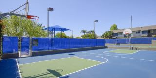 Vista Waterleaf Apartments Gallery 50