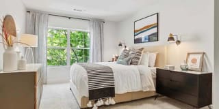 Sofi at Salem Station Gallery 11