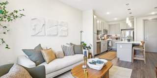 The Anderson Gallery 18