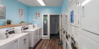Lenox at Patterson Place Gallery 24