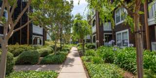 Pescadero Apartments Gallery 40