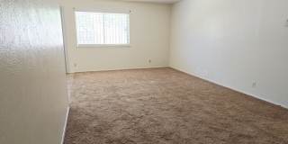 3043 Timber View Gallery 10