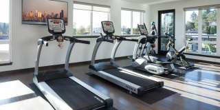 Spencer 68 Gallery 19