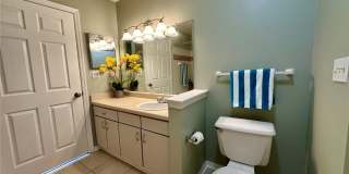 10534 WHITE LAKE COURT Gallery 13