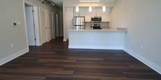 Main2525 Gallery 44
