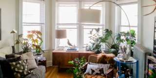 3912-28 N Pine Grove Gallery 4