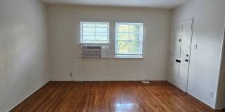 #159 Gallery 5