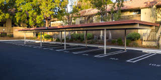 Citrus Place Gallery 68