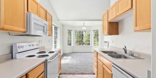 Rock Springs Gallery 9