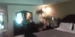 23 Duke Drive Gallery 7