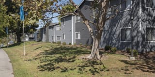 Cypress Creek Gallery 47