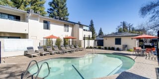 Larkspur Larkspur Gallery 3