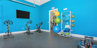 Windsor at Manhattan Gallery 87