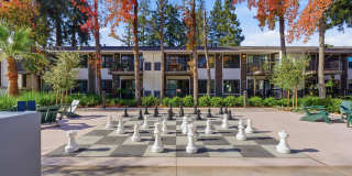 Lorien Ivy Apartments Gallery 32