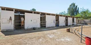 10848 N 66th Street Gallery 48