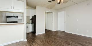 Surfcaster Gallery 12