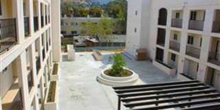 Sunland Gardens LLC Gallery 8