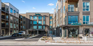 Arden Englewood Gallery 40